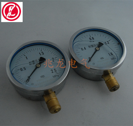 耐震壓力表YN60